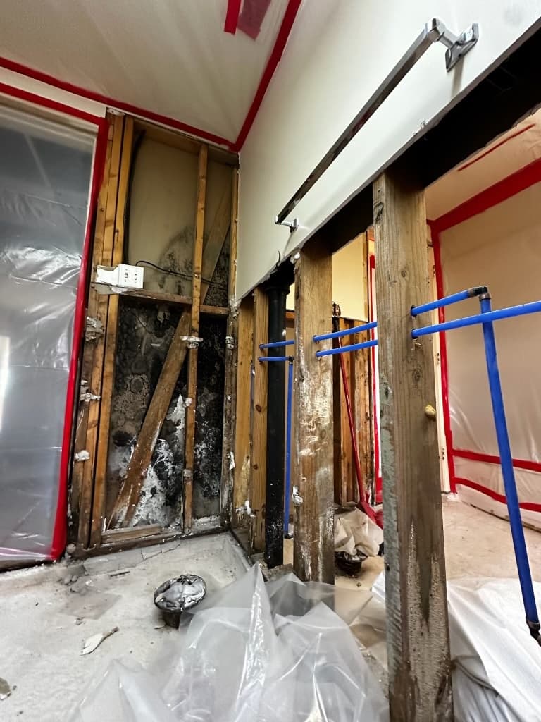 Mold Remediation in Columbia, SC